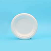 Compostable Materials Biodegradable Disposable Paper Pulp Tableware